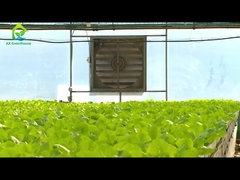 Anti UV Plastic Film Tunnel Θερμοκήπιο για Υδροπονικό Σύστημα