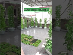 Garden Indoor Farming Petal Hydroponic Grow Towers
