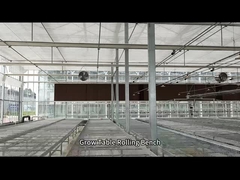 Επιτραπέζιο κυλιόμενο πάγκο θερμοκηπίου με σύρμα πλέγματος για σπορά