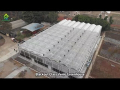 Εμπορικό Γεωργικό Γυάλινο Σπίτι Βενλό Ανεμοδοσία από την κορυφή Πολυδιάστατο θερμοκήπιο