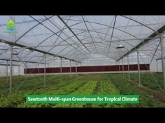 Θερμοκήπιο Skeleton Tropical Poly Tunnel Film Sawtooth με ανθεκτικό κράμα αλουμινίου