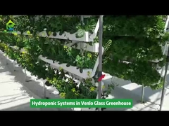 Εξοπλισμός άρδευσης κάθετης υδροπονικής καλλιέργειας στο θερμοκήπιο Venlo
