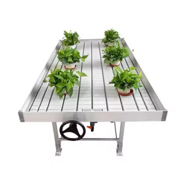 Οπωροκηπευτικό Custom Size θερμοκηπίο Grow Table Hydroponic Ebb Flood Rolling Bench