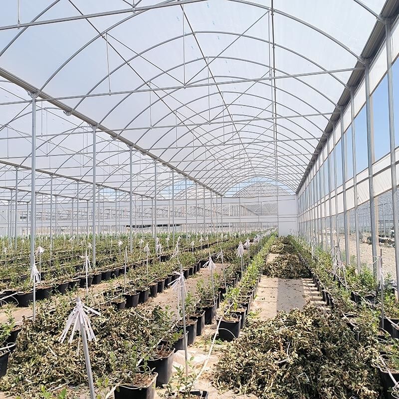 Χάλυβα Χάλυβα Χάλυβα Χάλυβα Χάλυβα Χάλυβα Χάλυβα Χάλυβα Χάλυβα