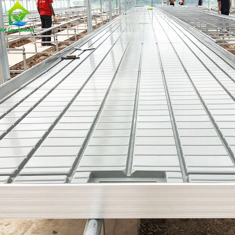 Οπωροκηπευτικό Custom Size θερμοκηπίο Grow Table Hydroponic Ebb Flood Rolling Bench