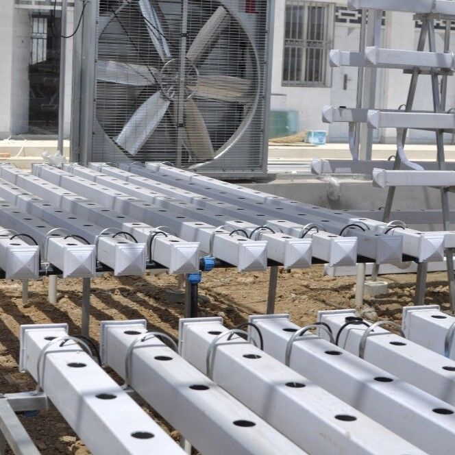 Συστήματα υδροπονικών ρυμούλκων από PVC NFT τροφίμων με αναστολείς υπεριώδους ακτινοβολίας και προσαρμόσιμες διαστάσεις για εμπορικά θερμοκήπια
